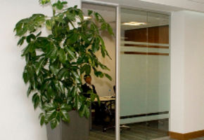 NAYADA's doors and partitions in the office of Sumitomo Corporation