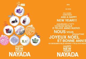 NAYADA Company wishes you a happy New Year!