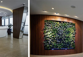 NAYADA created an eco-office for VIP-clients of Sberbank in St. Petersburg