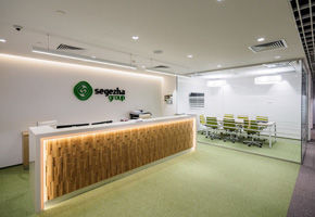 Trees and forest sights: NAYADA for the Segezha Group office interior