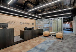 Office as a highly productive work environment: NAYАDA for Align Technology