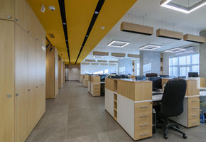 Wood interior solutions: NAYADA for DNK Corporation office