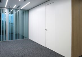 Doors NAYADA-Stels in project Офис строительной компании
