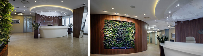 Photo NAYADA created an eco-office for VIP-clients of Sberbank in St. Petersburg