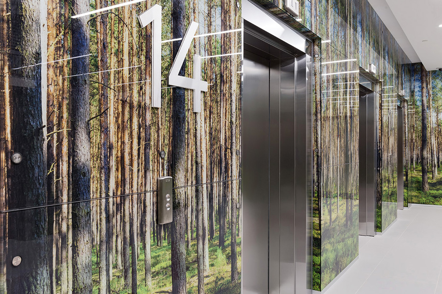 Photo Trees and forest sights: NAYADA for the Segezha Group office interior