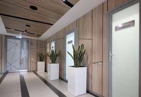 A feast for the eyes: NAYADA for the Ophthalmology Clinic Kord in Kazan