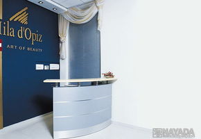 Reception counters in project Mila D`Opiz
