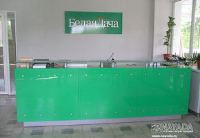 Reception counters in project Belaya Dacha
