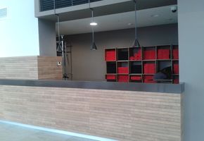 Reception counters in project KINEXT