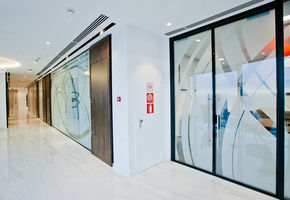 Doors Intero N in project CMS company office