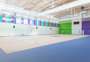NAYADA-Fireproof EIW-60 in project The Skolkovo International Gymnasium in the Family Campus