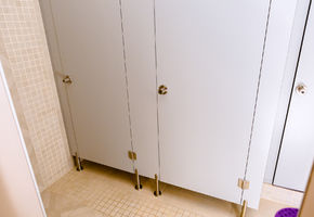 Sanitary partitions in project Fabulous world of dance in the studio GolDance.