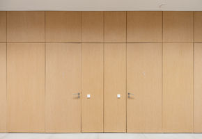 Exclusive doors in project SIBUR