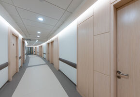 Exclusive doors in project Сlinical hospital of the Mother and Child
