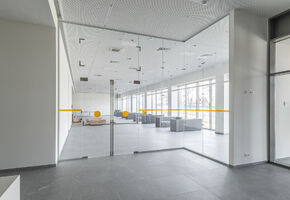 All-glass doors in project Проект Nayada по установке стеклянных перегородок в ООО Логопарк Сколково